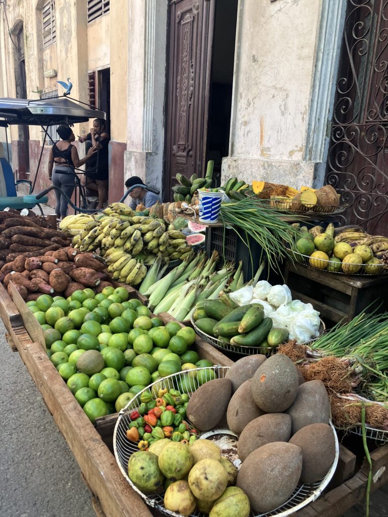 Lekker vers fruit, kenmerkend voor de straten van Havana